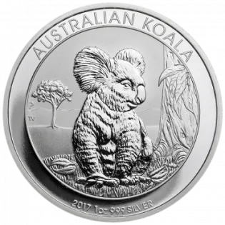 Koala - 1