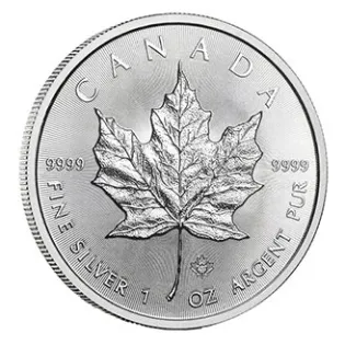 Maple Leaf - 1